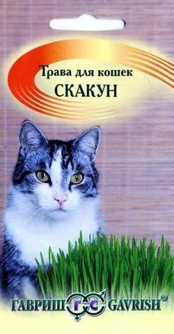 трава скакун